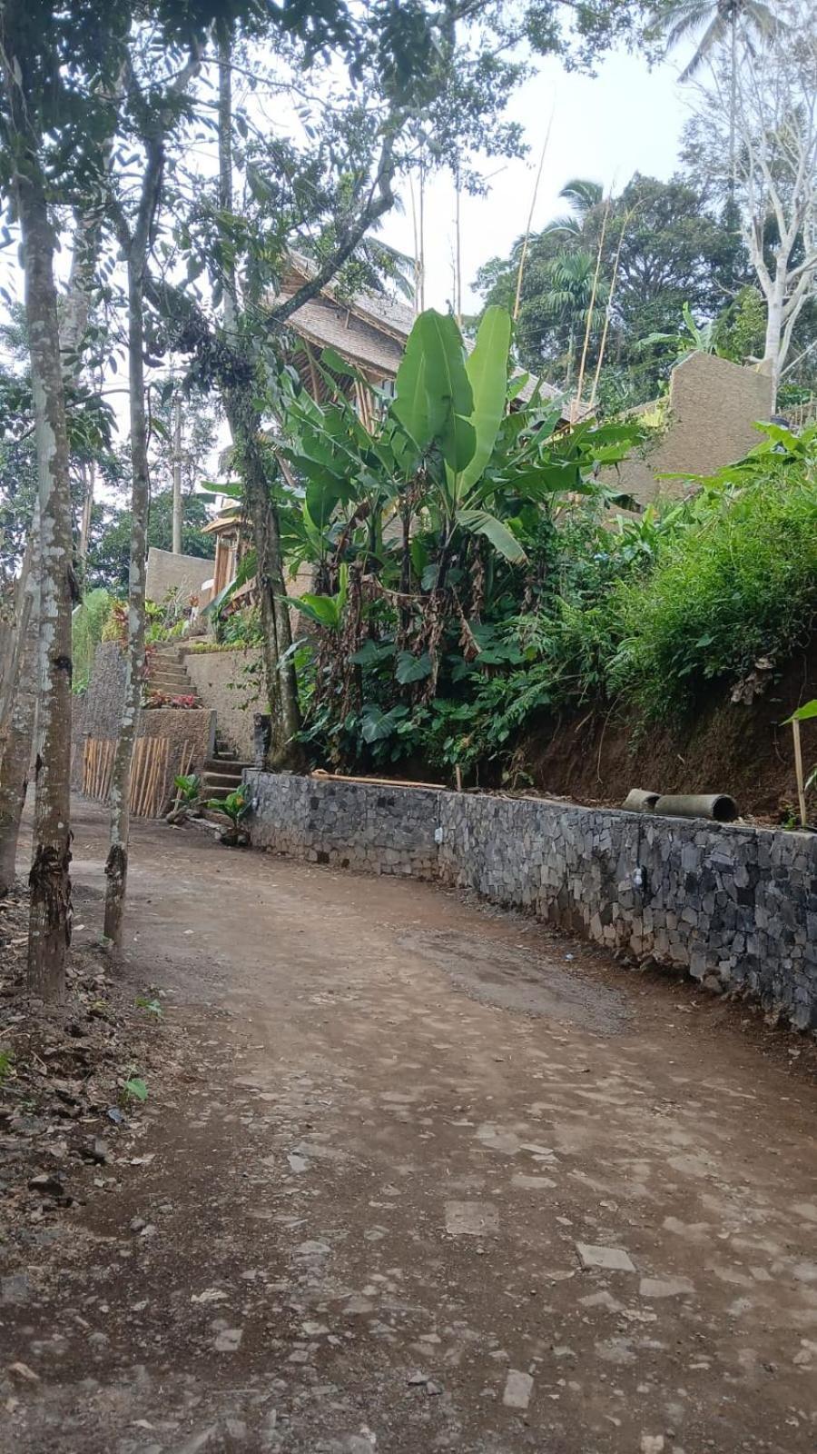 Danaswari Bali Bamboo House Villa Selat Exteriör bild